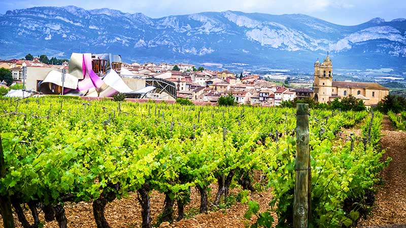 ŠPANIJA, domovina vina